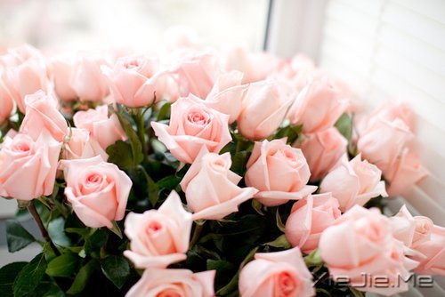 ʱ��������ֻ������һȥ���� (4)