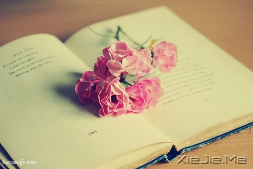 �簲�����һ���峺�İ׿�ˮ������ĸոպ� (8)