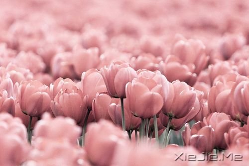 �簲������������ˣ����Ҹ���· (10)