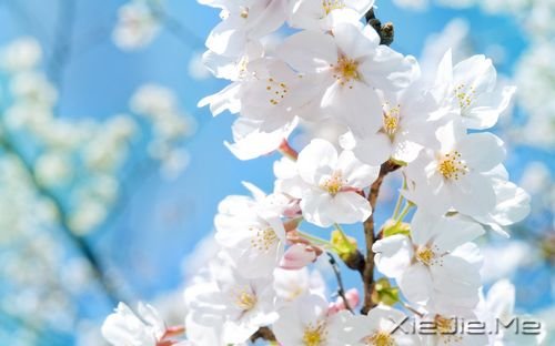 �簲������������������������������ (7)