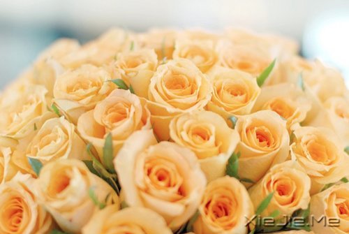 ȼ�հɣ����յ�����
